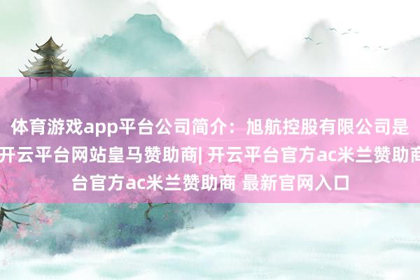 体育游戏app平台公司简介：旭航控股有限公司是一家控股公司-开云平台网站皇马赞助商| 开云平台官方ac米兰赞助商 最新官网入口