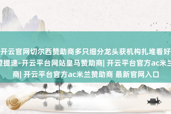 开云官网切尔西赞助商多只细分龙头获机构扎堆看好数据基础口头开拓有望提速-开云平台网站皇马赞助商| 开云平台官方ac米兰赞助商 最新官网入口
