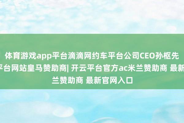 体育游戏app平台滴滴网约车平台公司CEO孙枢先容-开云平台网站皇马赞助商| 开云平台官方ac米兰赞助商 最新官网入口