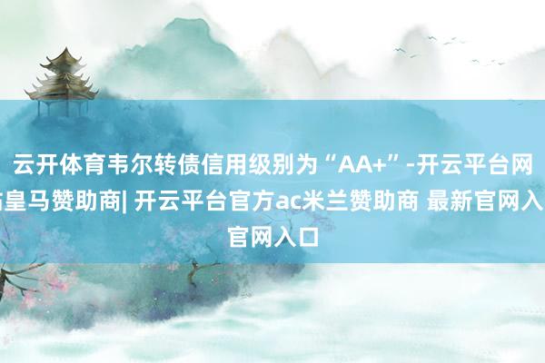 云开体育韦尔转债信用级别为“AA+”-开云平台网站皇马赞助商| 开云平台官方ac米兰赞助商 最新官网入口
