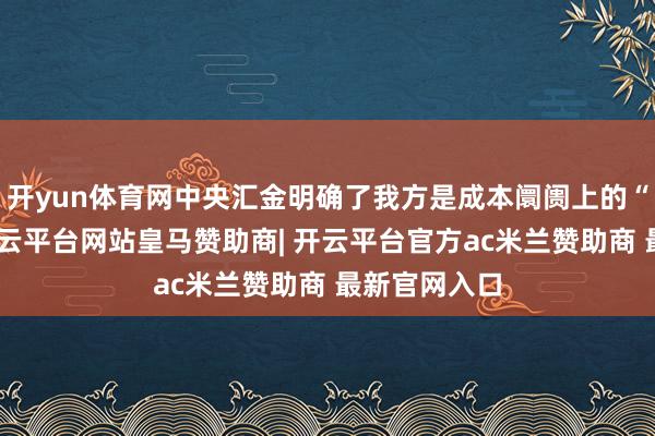 开yun体育网中央汇金明确了我方是成本阛阓上的“国度队”-开云平台网站皇马赞助商| 开云平台官方ac米兰赞助商 最新官网入口