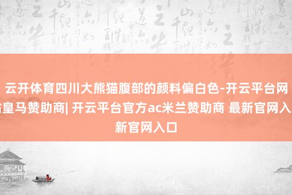 云开体育四川大熊猫腹部的颜料偏白色-开云平台网站皇马赞助商| 开云平台官方ac米兰赞助商 最新官网入口