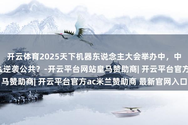 开云体育2025天下机器东说念主大会举办中，中国机器东说念主凭什么逆袭公共？-开云平台网站皇马赞助商| 开云平台官方ac米兰赞助商 最新官网入口