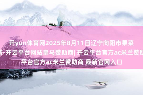 开yun体育网2025年8月11日辽宁向阳市果菜批发商场价钱行情-开云平台网站皇马赞助商| 开云平台官方ac米兰赞助商 最新官网入口