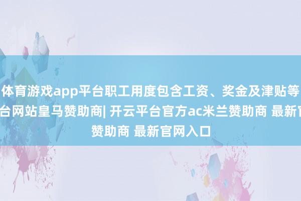 体育游戏app平台职工用度包含工资、奖金及津贴等-开云平台网站皇马赞助商| 开云平台官方ac米兰赞助商 最新官网入口