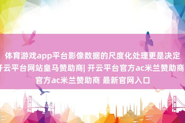 体育游戏app平台影像数据的尺度化处理更是决定成败的枢纽-开云平台网站皇马赞助商| 开云平台官方ac米兰赞助商 最新官网入口