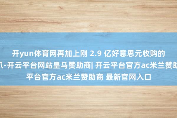 开yun体育网再加上刚 2.9 亿好意思元收购的德国众人品牌狼爪-开云平台网站皇马赞助商| 开云平台官方ac米兰赞助商 最新官网入口